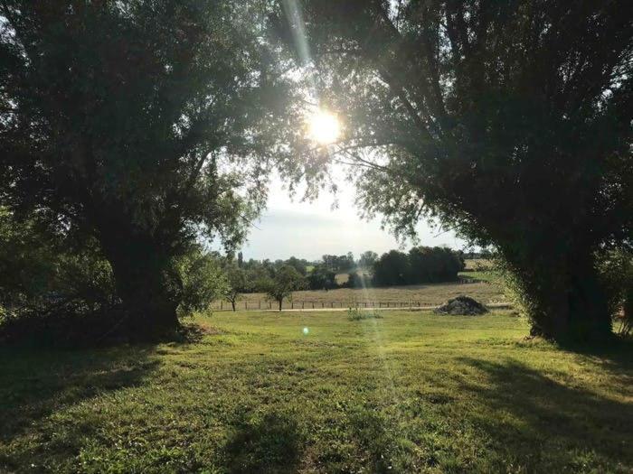 La Grange A Outeaux Bed & Breakfast Montpont-en-Bresse Екстериор снимка